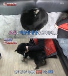 동물농장 자신의 꼬리를 공격하는 모모의 이상행동…그 원인은?