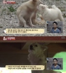 동물농장 목에 철사가 감긴 강아지 사연 공개…하마터면 기도 눌릴 뻔 했다