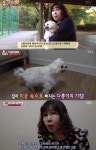 동물농장 집안에서만 기침하는 강아지?…전문가 얘는 거의 다 거짓이에요