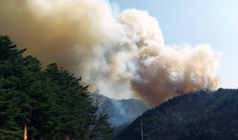 인제 산불, 현재 상황은? 