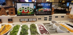 뜨는 식품업계 트렌드, 안전 먹거리…도심 속 청정 식자재 재배, 스마트팜 시스템 식물공장