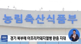 경기도 연천 신서면,14번째 아프리카 돼지열병 확진...48시간 연천지역 가축 이동중지