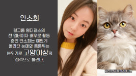 [NI카드뉴스] 닮은꼴 연예인_동물편 1탄