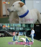 우주소녀 수빈, 진돗개 럭키 훈련 미국 경찰견 시도도 포기