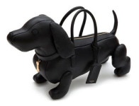 펜트하우스 봉태규 강아지가방 화제…가격은 무려