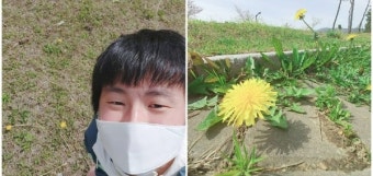 기안84, 민들레 보고 봄 감성 