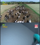 생생정보 제주 세 자매 목장, 어니스트 밀크에 카페까지