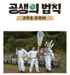 김병만, 환경 예능 공생의 법칙서 산전·수전·공중전...박군-배정남과 뭉쳤다