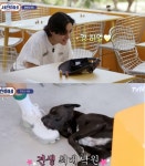 BTS 뷔, 멕시코 물들인 미담...서진이네 강아지 빼로 치료비→입양까지 챙겨
