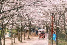 이랜드파크 켄싱턴호텔앤리조트, 강원·전북·제주 야외 체험형 패키지 선봬