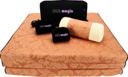 허리디스크 치료용 의료기기 디스크매직, 우수 중소기업제품 선정