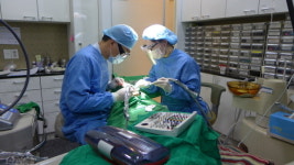 단지 쉽고 빠르기로 알려진 임플란트, 안정성 꼼꼼히 따져봐야