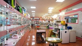 분양 전문 전주 헬로펫 애견 효자점, 고객 감사 이벤트 진행