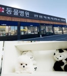 전주 더펫, 확실한 건강관리와 차별화된 시스템 화제