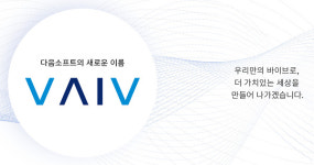 다음소프트, 바이브컴퍼니로 새출발