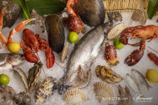 페어몬트 앰배서더 서울 스펙트럼, 가을 해산물 프로모션 바다의 보물 진행