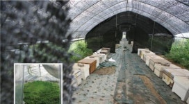 투기천국, 위례신도시를 가다