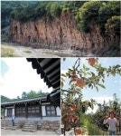 靑·赤·白 삼색일경 ‘천상의 하모니’