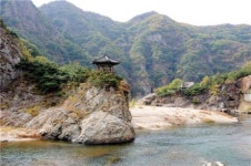 물위에 비친 단풍의 속살 보살님 佛心보다 더 붉다