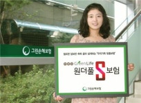 [2011년 유망 보험상품] 그린손해보험 ‘그린라이프 원더풀S보험’