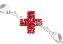 [암(癌) 정복할 수 있다]‘메디컬 희망코드’ 를 찾아서