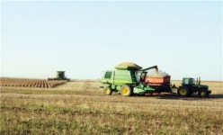 돈 장사 몰입 관행 ‘미운 털’ 뽑힐 것인가