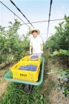 [당당한 인생2막 50+]“은퇴 후 귀농은 낭만 아닌 현실 사업 마인드로 블루베리 재배”