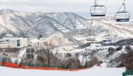 겨울철 콘도회원권 특별 한정 모집