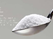 단순당(糖), 어디에 숨어 있을까