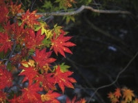 [이원근의 날마다 가고 싶은 그곳] 신성하고 숭고한 설악산의 신비
