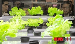 [팜테크-3]가상으로 본 스마트 농부의 일상