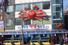 속초맛집 동명항게찜 전문점의 푸짐한 서비스, 관광객들의 입맛을 사로잡다