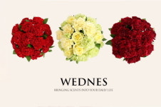 론칭 3주째인 WEDNES(웬즈)‥눈에 띄는 인기몰이에 콧노래
