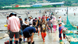 [여름아 놀자] 가족 여행지로 제격! 해양수산부 선정 1등급 어촌체험 휴양마을