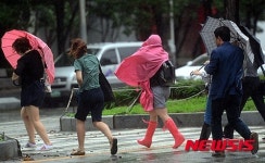강원도로 북상한 태풍 고니의 흔적