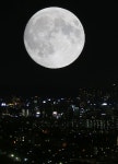 꿩 대신 닭?…화이트 크리스마스 대신 럭키문 뜬다