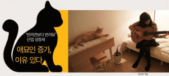 [고양이를 부탁해!②] 애묘인 증가, 이유 있다