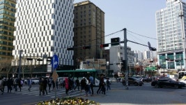 [상권을 알면 가치가 보인다] 서울대입구역 샤로수길, 이국적인 가게로 이어진 개성 있는 골목길 상권