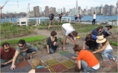 옥상농장, 도시농업 대안 되려면