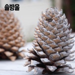 [카드뉴스] 친환경으로 살림하는 쉬운 팁