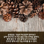[카드뉴스] 친환경으로 살림하는 쉬운 팁