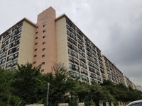 [8.2대책이후 현장르포] 급매 속출 매수 실종, 고개숙인 강남 재건축 대장주