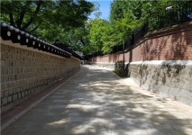 끊겼던 ‘덕수궁 돌담길’ 60년 만에 시민 품으로