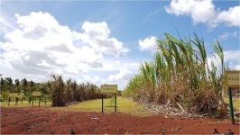[애그리테크 칼럼] 세계적인 농업 없다고 탓할 상황이 아니다