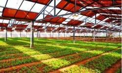 중국 첨단 농업 굴기 해외 기술 도입 열올려