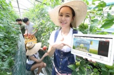KT, ‘청년 스마트 파머(농부)’ 육성한다