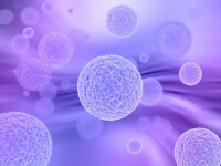 [주목, 이 연구]암 줄기세포 이기는 항암제 조합 찾아