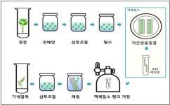 1988감귤직매장 | [애그리테크 브리핑] 복숭아 병해충 방제, 감귤 초저온동결보존 성공, 도농상생형 직매장 지원
