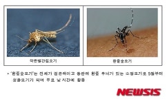 살인진드기, 붉은불개미, 일본뇌염 모기 기승…해충 퇴치제 편리할까?