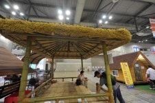 [Story포토]K팝만 있냐? K팜도 있다!